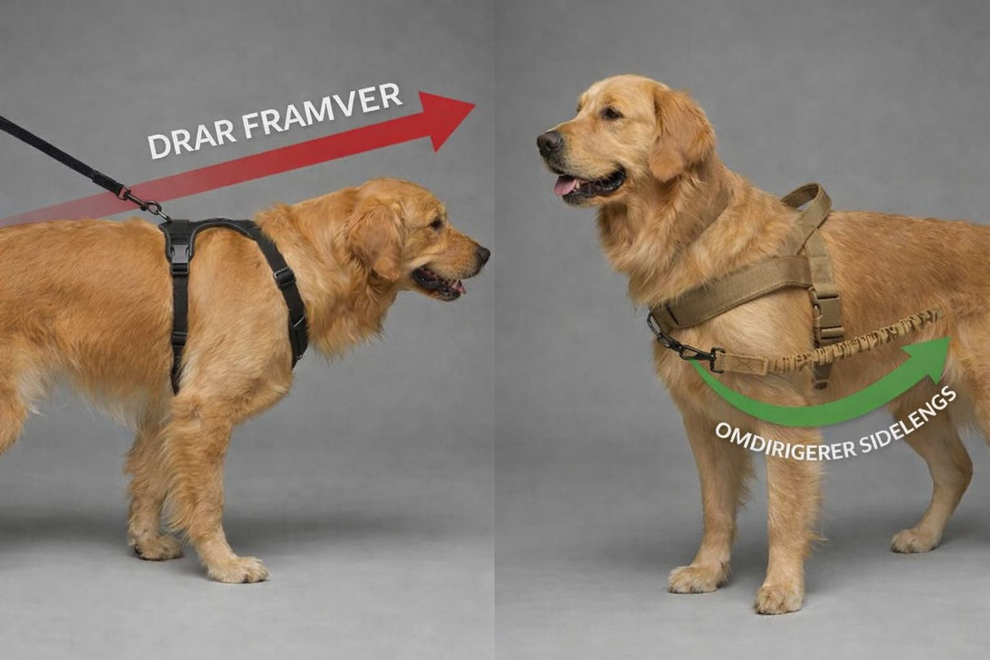 AntiDrag Hundesele