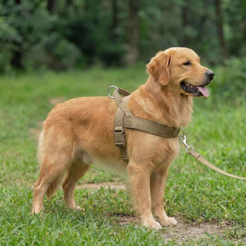 AntiDrag Hundesele